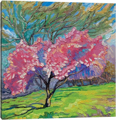 A Blossom Tree Canvas Art Print - Lilit Vardanyan