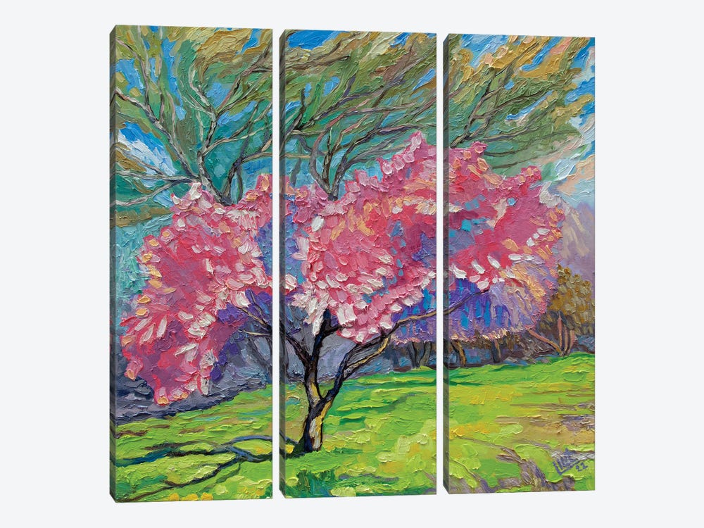 A Blossom Tree by Lilit Vardanyan 3-piece Canvas Wall Art