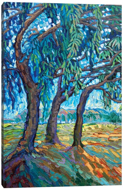 Three Trees Canvas Art Print - Artists Like Van Gogh