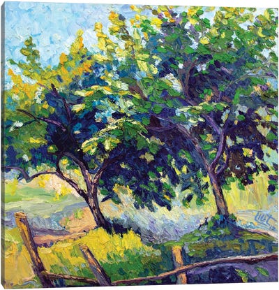 Two Trees Canvas Art Print - Artists Like Van Gogh