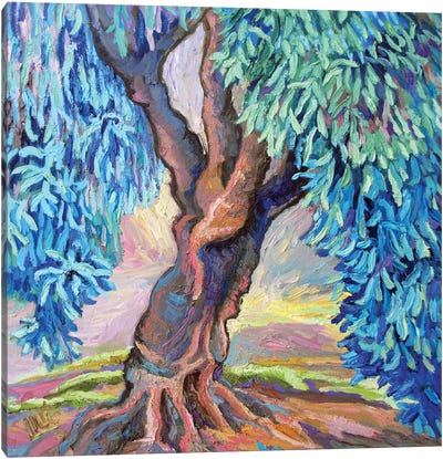 Willow Tree Canvas Art Print - Artists Like Van Gogh