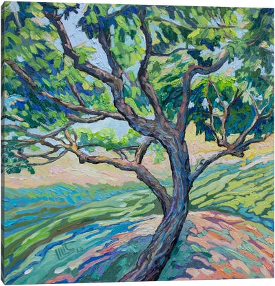 An Apricot Tree Canvas Art Print - Lilit Vardanyan