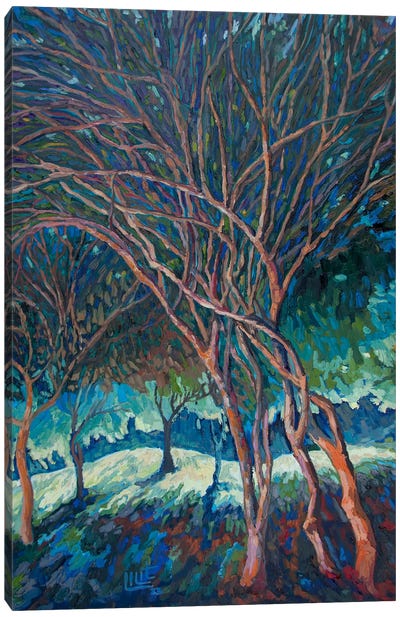 Orange Color On The Trees Canvas Art Print - Lilit Vardanyan