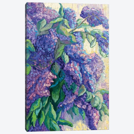Lilacs Canvas Print #VDY8} by Lilit Vardanyan Canvas Art