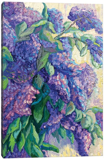 Lilacs Canvas Art Print - Lilit Vardanyan