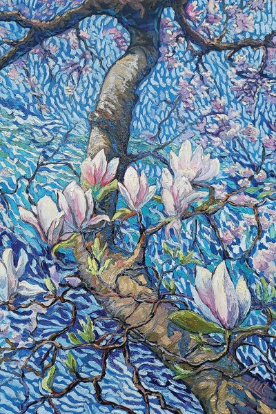 Magnolia by Lilit Vardanyan canvas print
