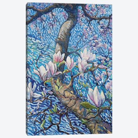 Magnolia Canvas Print #VDY9} by Lilit Vardanyan Canvas Wall Art