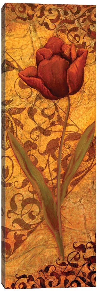 Red Tulip II Canvas Art Print