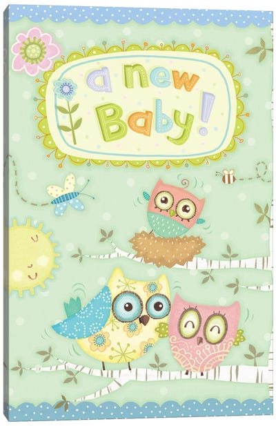 Baby Owl II Canvas Art Print
