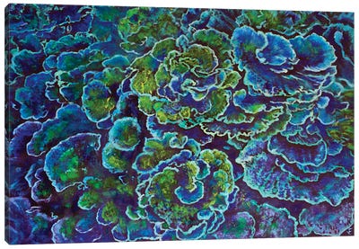 Blue Corals Canvas Art Print - Turquoise Art