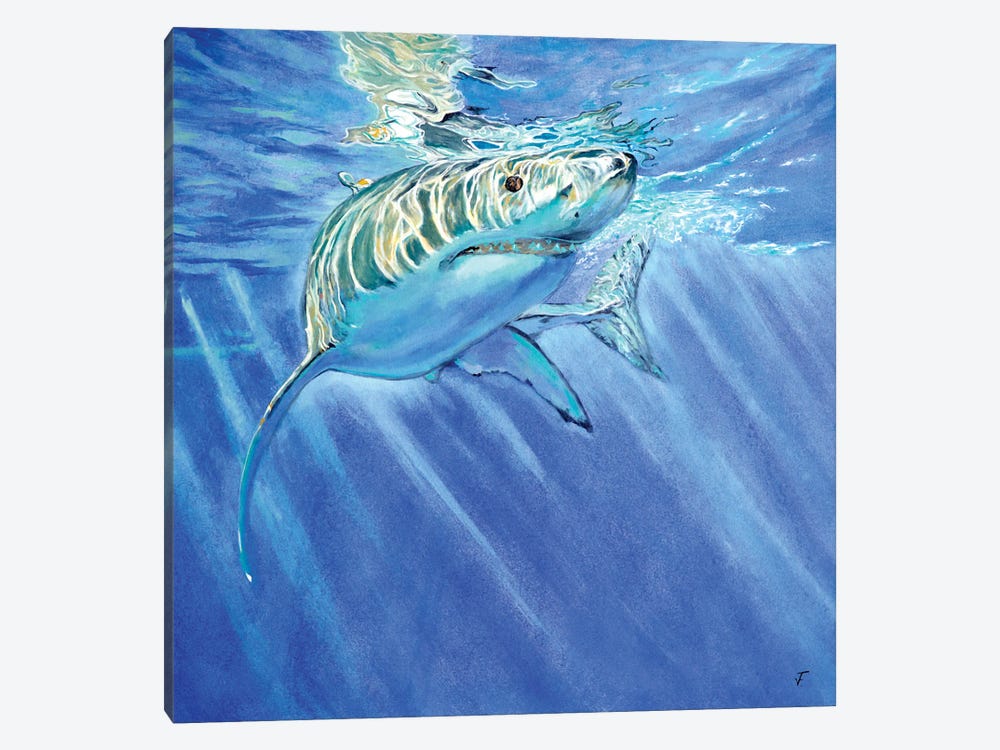 Shark by Viktoriya Filipchenko 1-piece Canvas Wall Art
