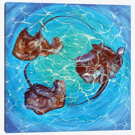 Circle Of Stingrays Canvas Print #VFP111} by Viktoriya Filipchenko Canvas Art