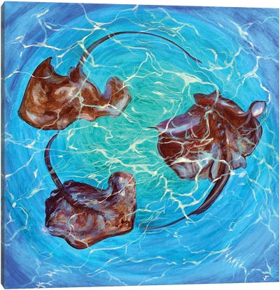 Circle Of Stingrays Canvas Art Print - Turquoise Art