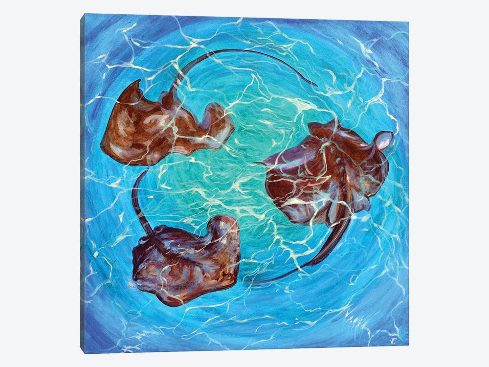 Circle Of Stingrays by Viktoriya Filipchenko 1-piece Canvas Art Print