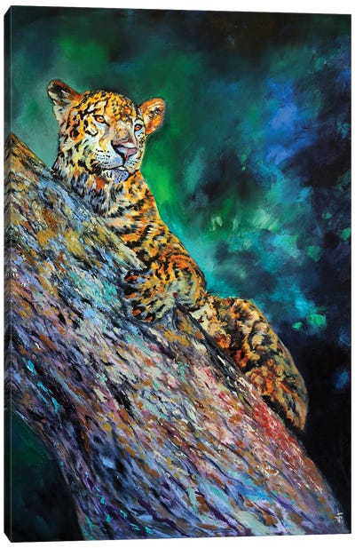 Jaguar Canvas Art Print - Viktoriya Filipchenko