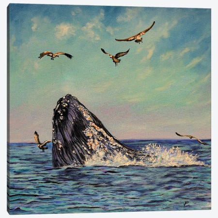 Whale Canvas Print #VFP115} by Viktoriya Filipchenko Art Print