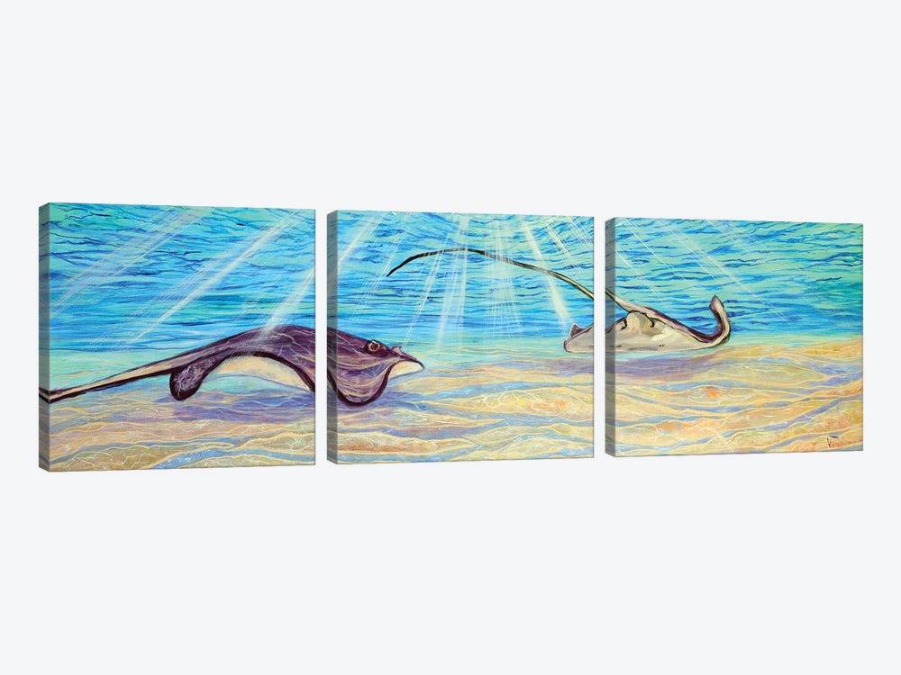 Stingrays by Viktoriya Filipchenko 3-piece Canvas Artwork