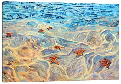 Starfish Canvas Art Print - Viktoriya Filipchenko