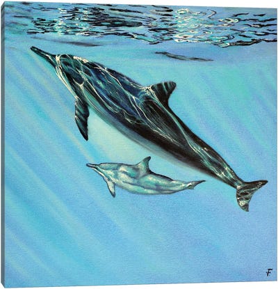 Dolphins Canvas Art Print - Turquoise Art