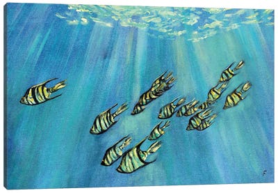 Fish Canvas Art Print - Turquoise Art