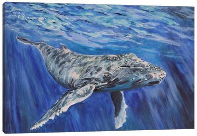Whale On Water Canvas Art Print - Blue Art