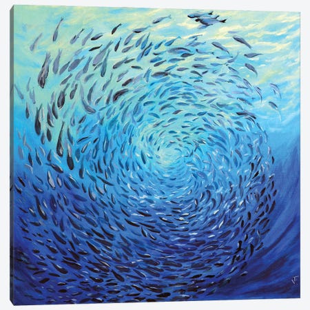 Circle Of Fish Canvas Print #VFP129} by Viktoriya Filipchenko Canvas Print
