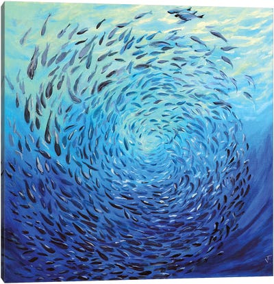 Circle Of Fish Canvas Art Print - Sea Life Art