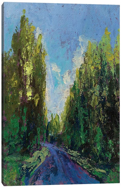 Tuscany Cypress Road Canvas Art Print - Mediterranean Décor