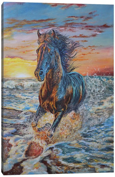 Running Horse Canvas Art Print - Viktoriya Filipchenko