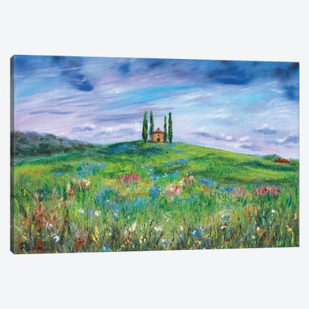 Tuscany Meadow Canvas Print #VFP20} by Viktoriya Filipchenko Canvas Art Print