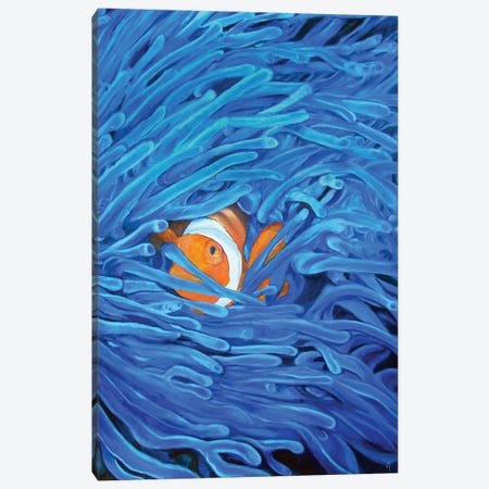 Clownfish Canvas Print #VFP27} by Viktoriya Filipchenko Canvas Wall Art
