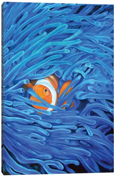 Clownfish Canvas Art Print - Clown Fish Art