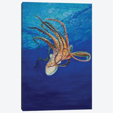 The Octopus Canvas Print #VFP2} by Viktoriya Filipchenko Canvas Print