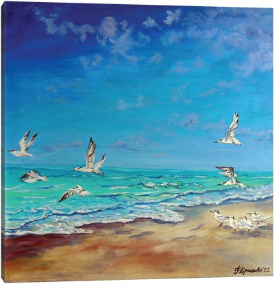 Seagulls Canvas Art Print - Viktoriya Filipchenko