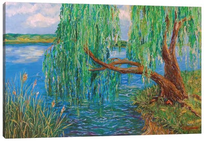 The Willow Tree Canvas Art Print - Willow Trees