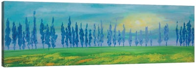 Italian Cypressess Landscape Canvas Art Print - Mediterranean Décor