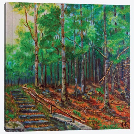 The Forest Landscape Canvas Print #VFP51} by Viktoriya Filipchenko Canvas Artwork