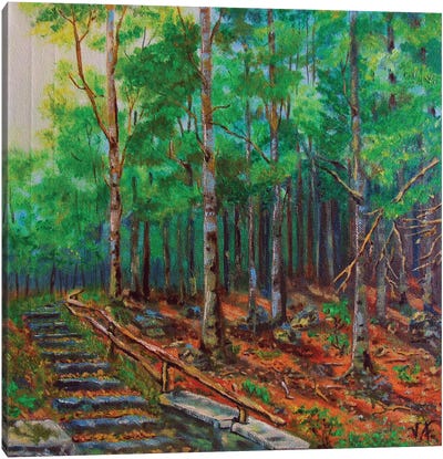 The Forest Landscape Canvas Art Print - Viktoriya Filipchenko