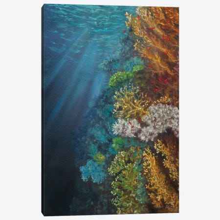 The Coral Reef Canvas Print #VFP55} by Viktoriya Filipchenko Canvas Art Print