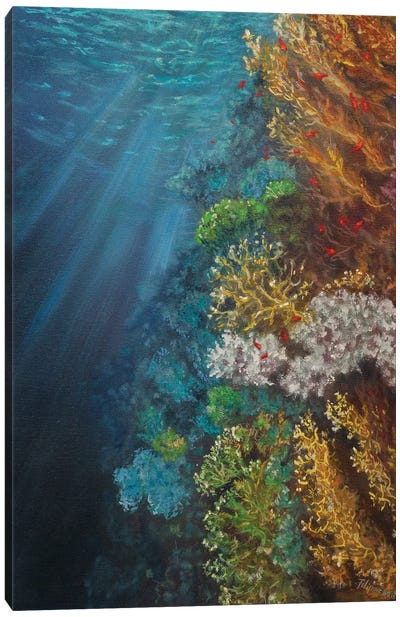 The Coral Reef Canvas Art Print - Viktoriya Filipchenko
