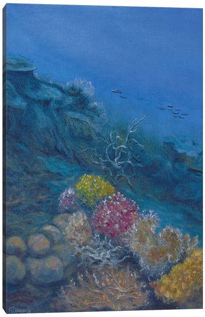 Underwater Canvas Art Print - Viktoriya Filipchenko