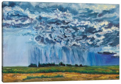 The Rain Canvas Art Print - Viktoriya Filipchenko