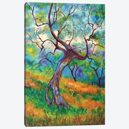 Olive Tree Canvas Print #VFP80} by Viktoriya Filipchenko Canvas Print