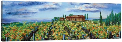 Vineyard Canvas Art Print - Vineyard Art