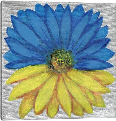 Ukrainian Daisy Flower Canvas Art Print - Viktoriya Filipchenko
