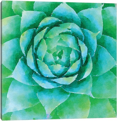 Succulente X Canvas Art Print