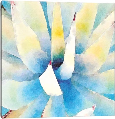 Succulente IX Canvas Art Print