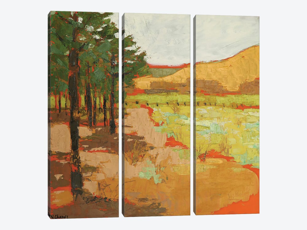 Woods End by Virginia Chapuis 3-piece Canvas Art
