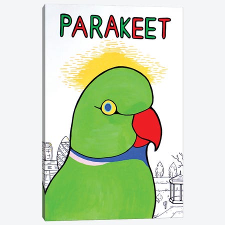 Parakeet Canvas Print #VGG31} by Ian Viggars Canvas Artwork