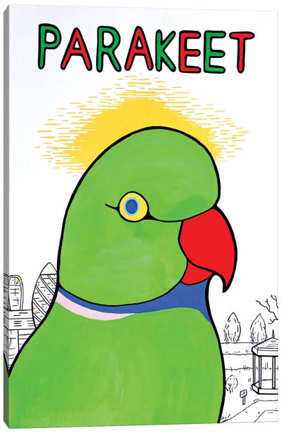 Parakeet Canvas Art Print - Ian Viggars